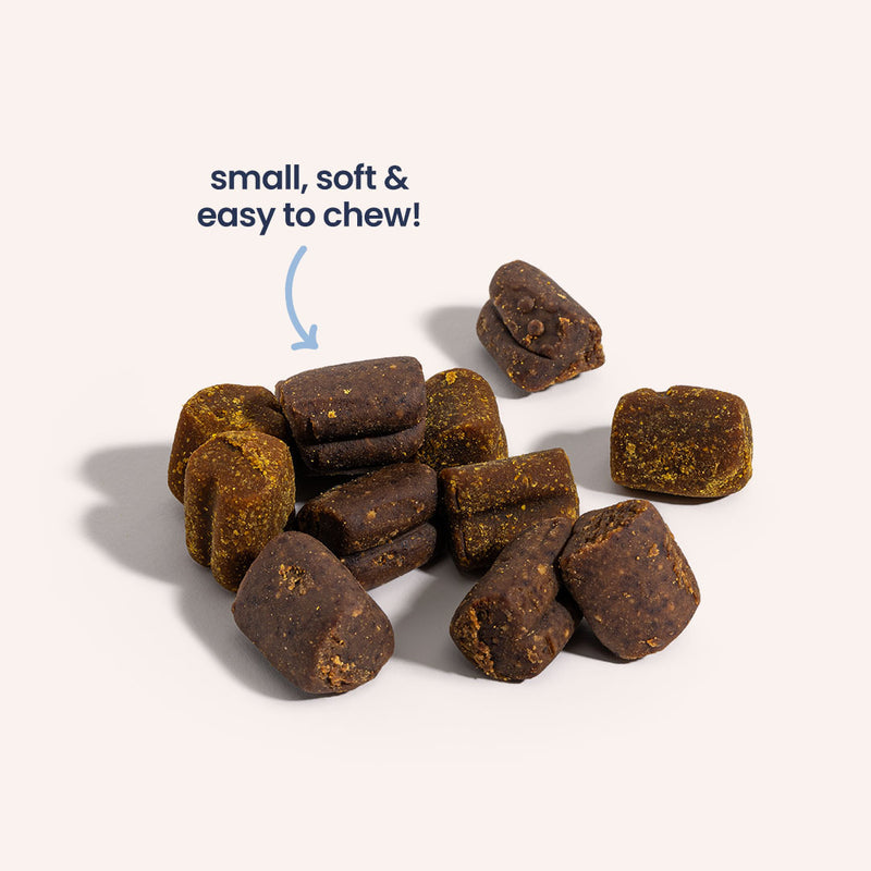 Probiotic Wellness Soft Chews | Dog